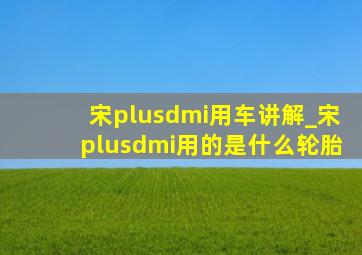 宋plusdmi用车讲解_宋plusdmi用的是什么轮胎