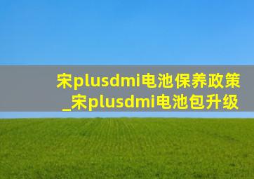 宋plusdmi电池保养政策_宋plusdmi电池包升级