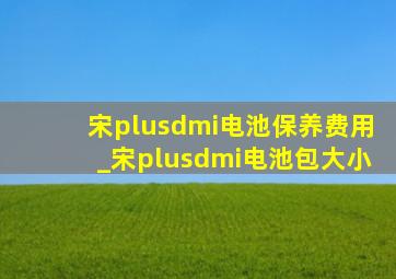 宋plusdmi电池保养费用_宋plusdmi电池包大小