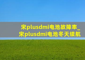 宋plusdmi电池故障率_宋plusdmi电池冬天续航