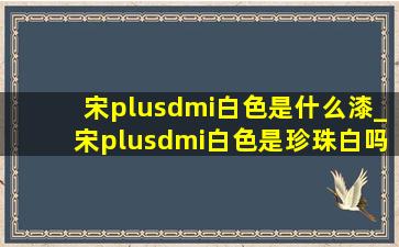 宋plusdmi白色是什么漆_宋plusdmi白色是珍珠白吗