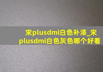 宋plusdmi白色补漆_宋plusdmi白色灰色哪个好看