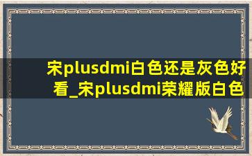 宋plusdmi白色还是灰色好看_宋plusdmi荣耀版白色