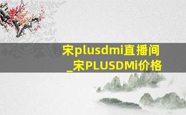 宋plusdmi直播间_宋PLUSDMi价格