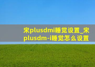 宋plusdmi睡觉设置_宋plusdm-i睡觉怎么设置