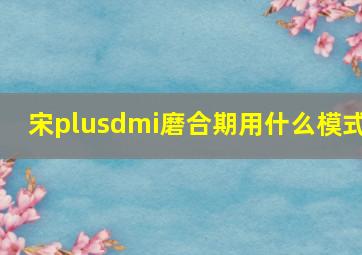 宋plusdmi磨合期用什么模式