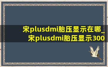 宋plusdmi胎压显示在哪_宋plusdmi胎压显示300