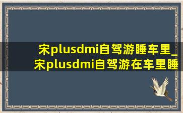 宋plusdmi自驾游睡车里_宋plusdmi自驾游在车里睡觉