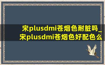 宋plusdmi苍烟色耐脏吗_宋plusdmi苍烟色好配色么