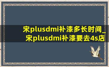 宋plusdmi补漆多长时间_宋plusdmi补漆要去4s店吗