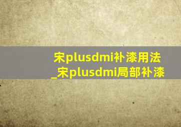 宋plusdmi补漆用法_宋plusdmi局部补漆