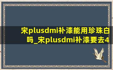 宋plusdmi补漆能用珍珠白吗_宋plusdmi补漆要去4s店吗