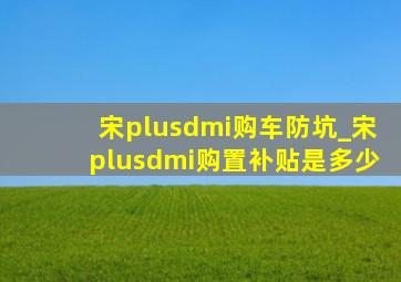 宋plusdmi购车防坑_宋plusdmi购置补贴是多少