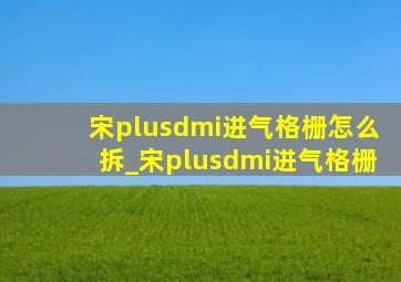 宋plusdmi进气格栅怎么拆_宋plusdmi进气格栅