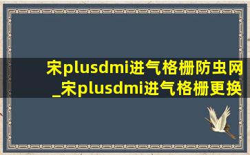 宋plusdmi进气格栅防虫网_宋plusdmi进气格栅更换