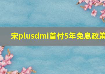 宋plusdmi首付5年免息政策