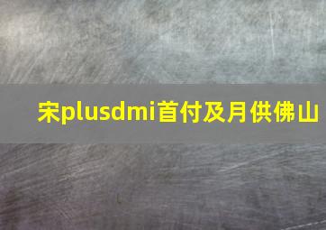 宋plusdmi首付及月供佛山