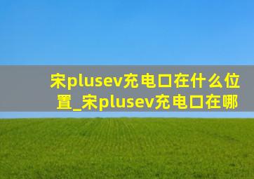 宋plusev充电口在什么位置_宋plusev充电口在哪