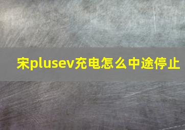 宋plusev充电怎么中途停止