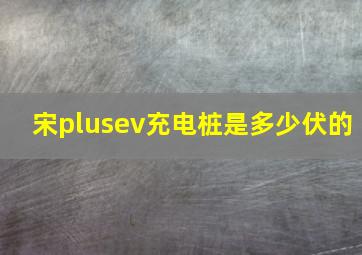 宋plusev充电桩是多少伏的