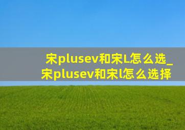 宋plusev和宋L怎么选_宋plusev和宋l怎么选择