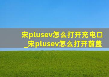 宋plusev怎么打开充电口_宋plusev怎么打开前盖