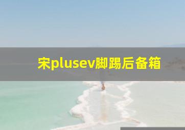 宋plusev脚踢后备箱