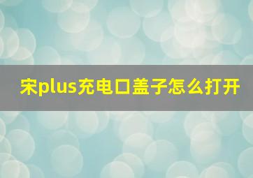 宋plus充电口盖子怎么打开