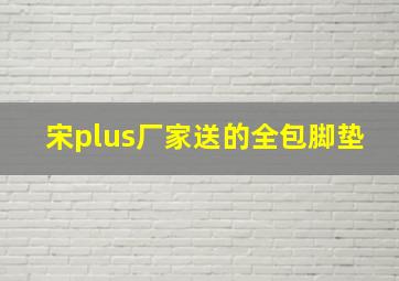 宋plus厂家送的全包脚垫