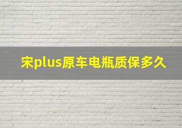 宋plus原车电瓶质保多久