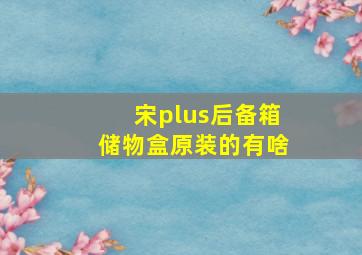 宋plus后备箱储物盒原装的有啥