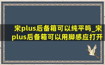 宋plus后备箱可以纯平吗_宋plus后备箱可以用脚感应打开