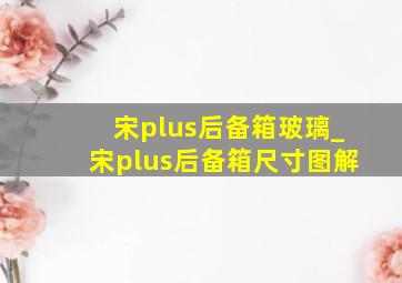 宋plus后备箱玻璃_宋plus后备箱尺寸图解