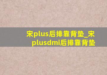 宋plus后排靠背垫_宋plusdmi后排靠背垫