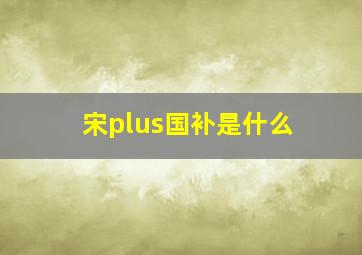 宋plus国补是什么