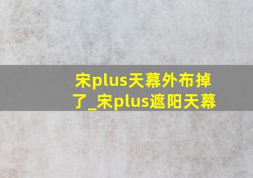 宋plus天幕外布掉了_宋plus遮阳天幕