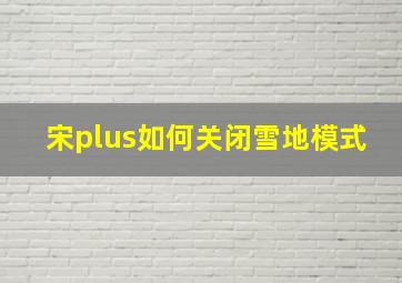 宋plus如何关闭雪地模式