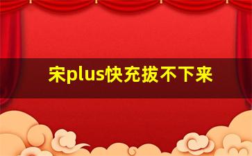 宋plus快充拔不下来