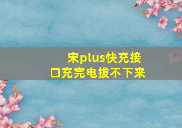 宋plus快充接口充完电拔不下来