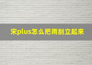 宋plus怎么把雨刮立起来