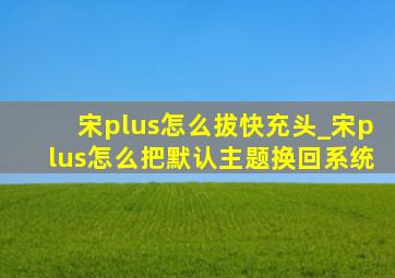 宋plus怎么拔快充头_宋plus怎么把默认主题换回系统