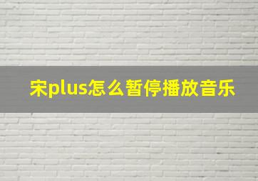 宋plus怎么暂停播放音乐