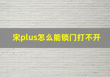 宋plus怎么能锁门打不开