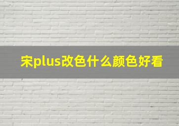 宋plus改色什么颜色好看