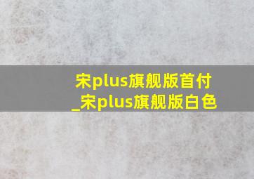 宋plus旗舰版首付_宋plus旗舰版白色