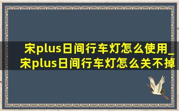 宋plus日间行车灯怎么使用_宋plus日间行车灯怎么关不掉