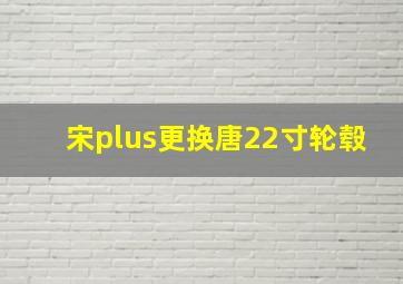 宋plus更换唐22寸轮毂