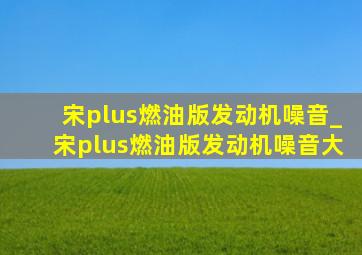 宋plus燃油版发动机噪音_宋plus燃油版发动机噪音大