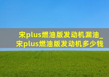 宋plus燃油版发动机漏油_宋plus燃油版发动机多少钱