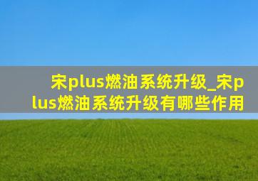 宋plus燃油系统升级_宋plus燃油系统升级有哪些作用